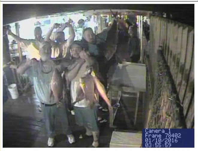 fishing boat unloading screen grab