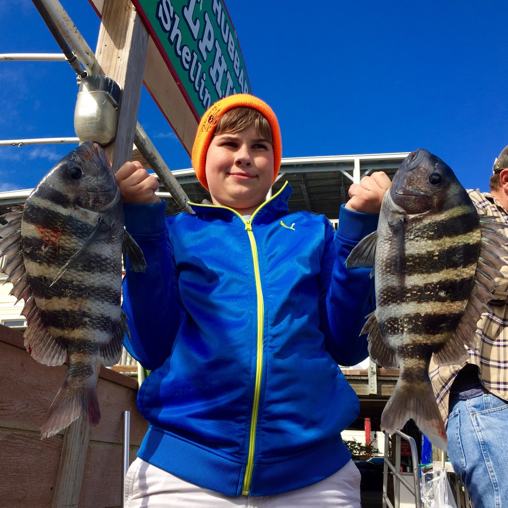 Chuck Drew showing off two fat sheepshead he caught on the Hubbard's Marina dock using our special frozen oyster bait we have in our bait and tackle store