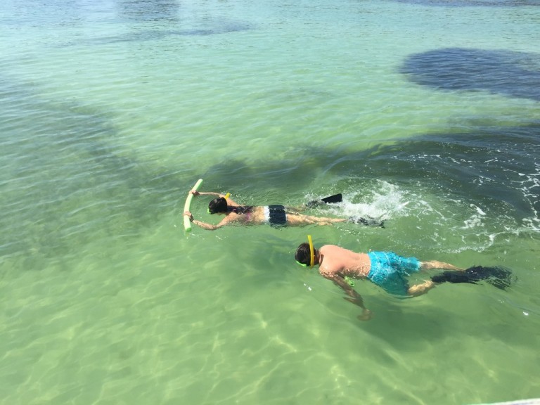 Egmont Key Ferry from Fort Desoto Park Hubbard’s Marina