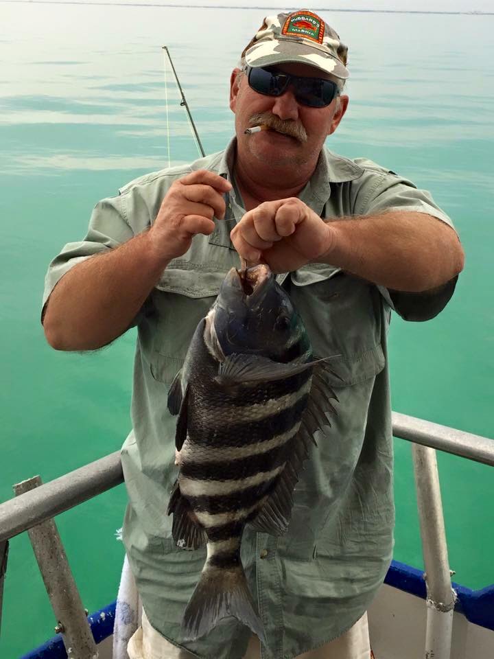 Robert Angus from St. Petersburg showing off a beautiful big sheepshead he caught while fishing at Hubbard's Marina