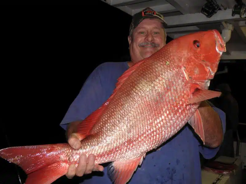 0bf7482e-998b-4876-94f0-ac53fa749585