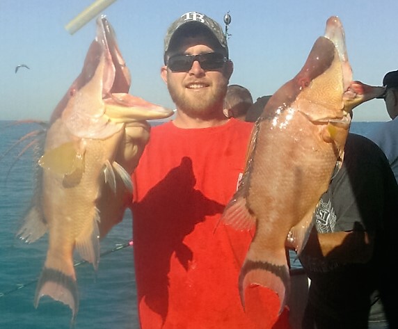 Captain Joe Drew showing off two beautiful hogfish from a recent 10 hour all day at Hubbard's Marina