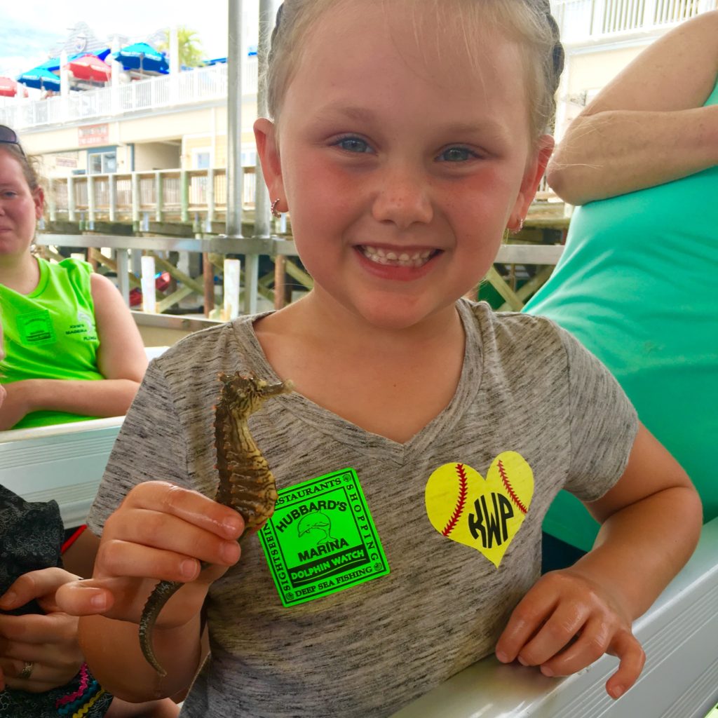 Nothing beats a family fun dolphin watching nature cruise with the ORIGINAL Hubbard's Marina cruising local waters since 1928!