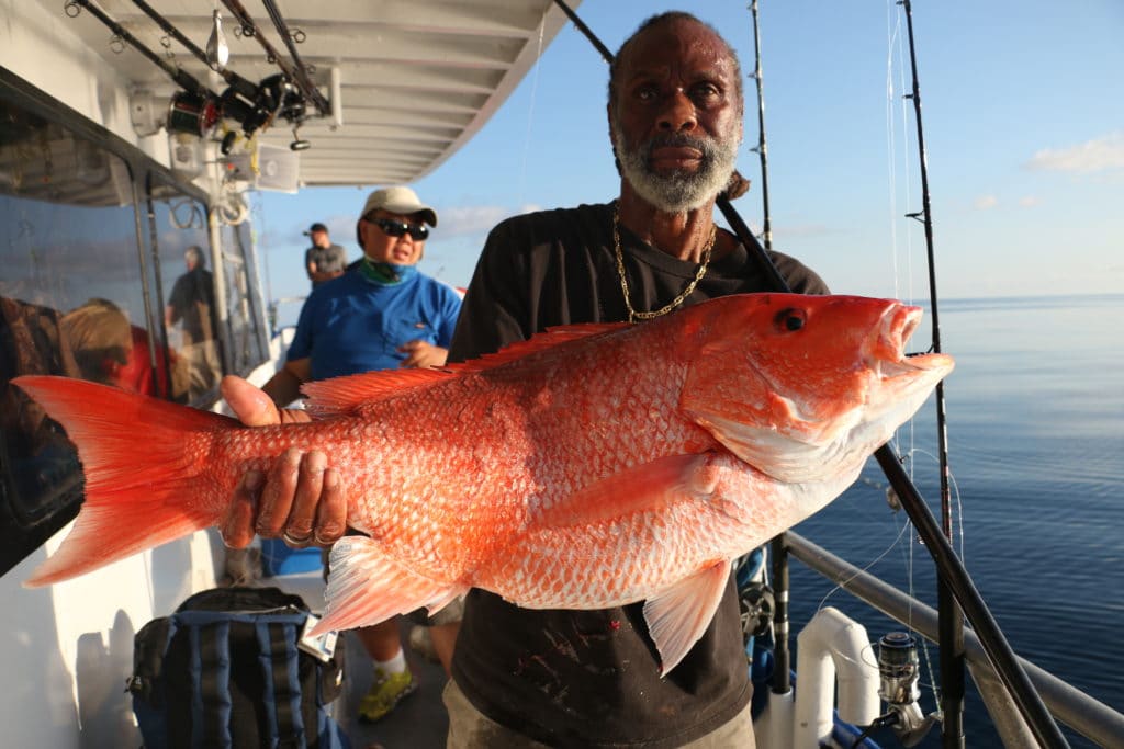 Nothing beats a monster red snapper, Hubbard's Marina has been catching Tons!
