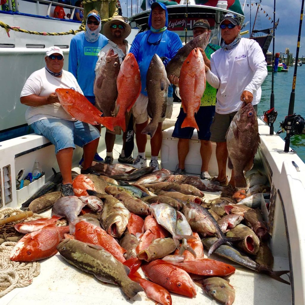 The Flying HUB 1 grouper and snapper