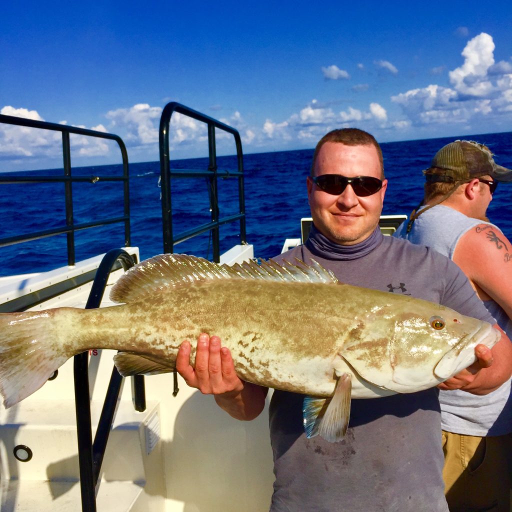 big-grouper