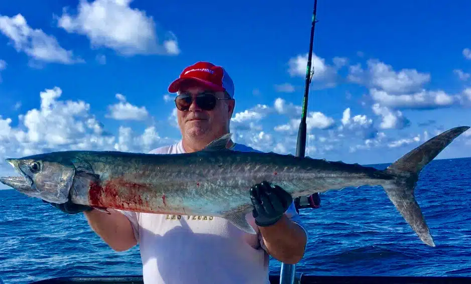 kingfish-and-mackerel