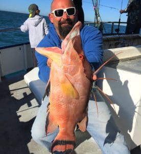 Monster Hog Fish From Hubbard's Marina