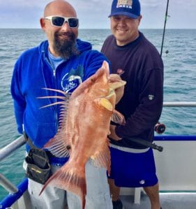  Fishing Report: Hogfish Caught during Hubbard's Marina 5-hour fishing trip.