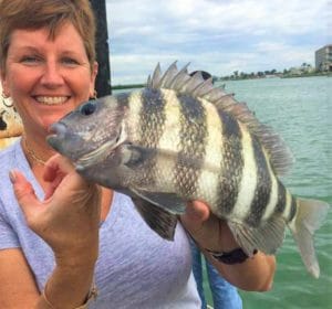 Nice Sheepshead caught on piece of shrimp at Hubbards Marina Dock