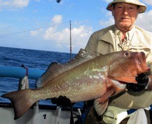 Offshore Fishing Report 