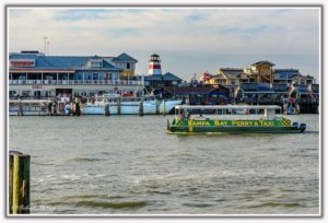 Tampa Bay Ferry & Water Taxi