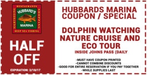 Hubbard's Marina Dolphin Watching Coupon