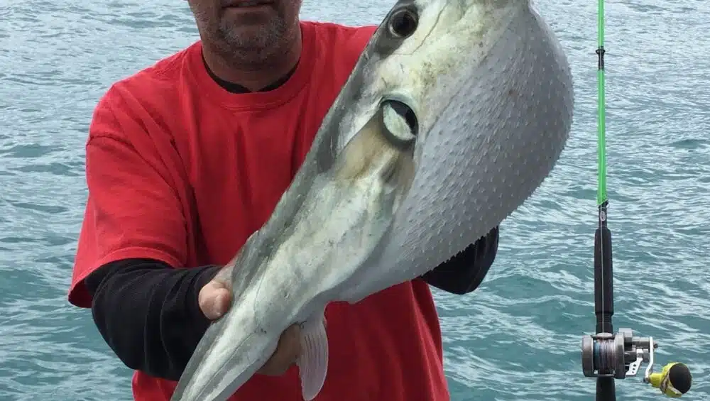 Hubbard's Marina Fishing Report 02/03/2017