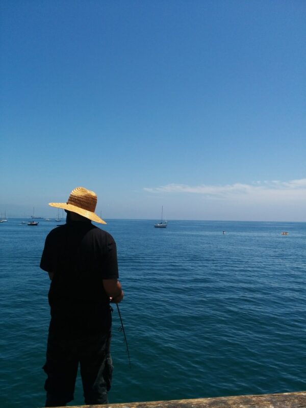 Useful Saltwater Fishing Tips Near Tampa Bay Florida Hubbard's Marina