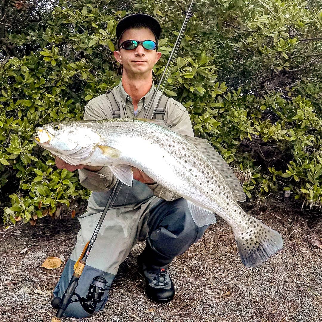 Hubbard's Marina Fishing Report 1/26/18, Hubbard's Marina, Deep Sea  Fishing, Dolphin Watching Tours