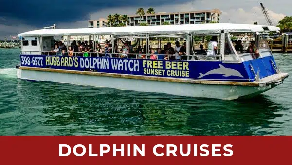 dolphincruises