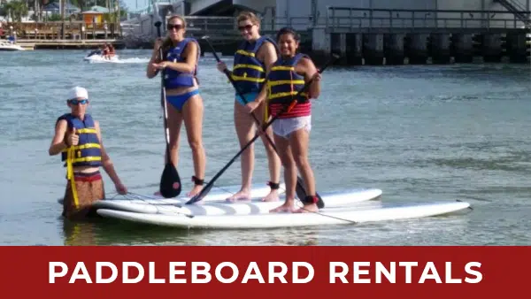 paddleboardrentals
