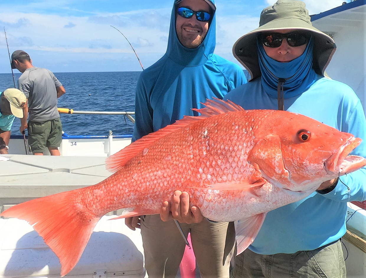 Hubbard's Marina Fishing Report 6-21-19, Hubbard's Marina, Deep Sea  Fishing, Dolphin Watching Tours