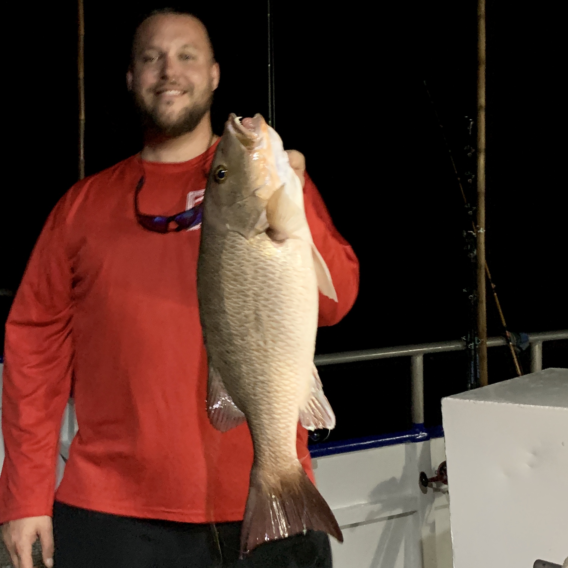 Hubbard's Marina Fishing Report 7-12-19, Hubbard's Marina, Deep Sea  Fishing, Dolphin Watching Tours