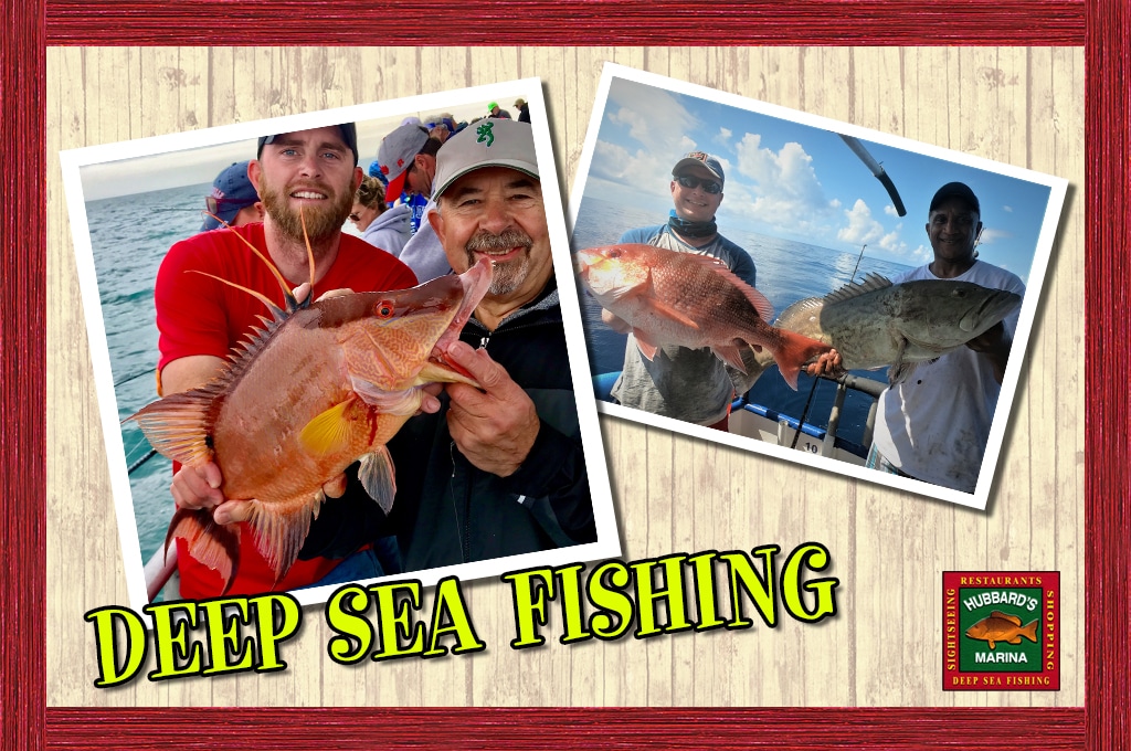 hubbards_marina_deep_sea_fishing_FLBD Hubbard's Marina Deep Sea