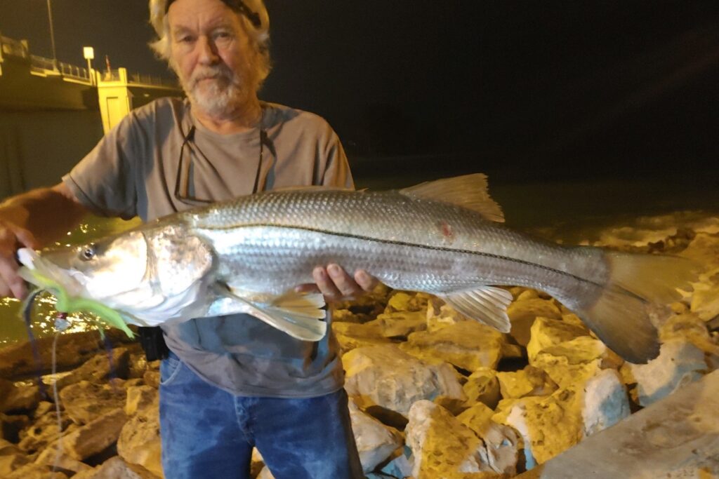 Hubbard's Marina Fishing Report 6-25-21, Hubbard's Marina, Deep Sea  Fishing, Dolphin Watching Tours