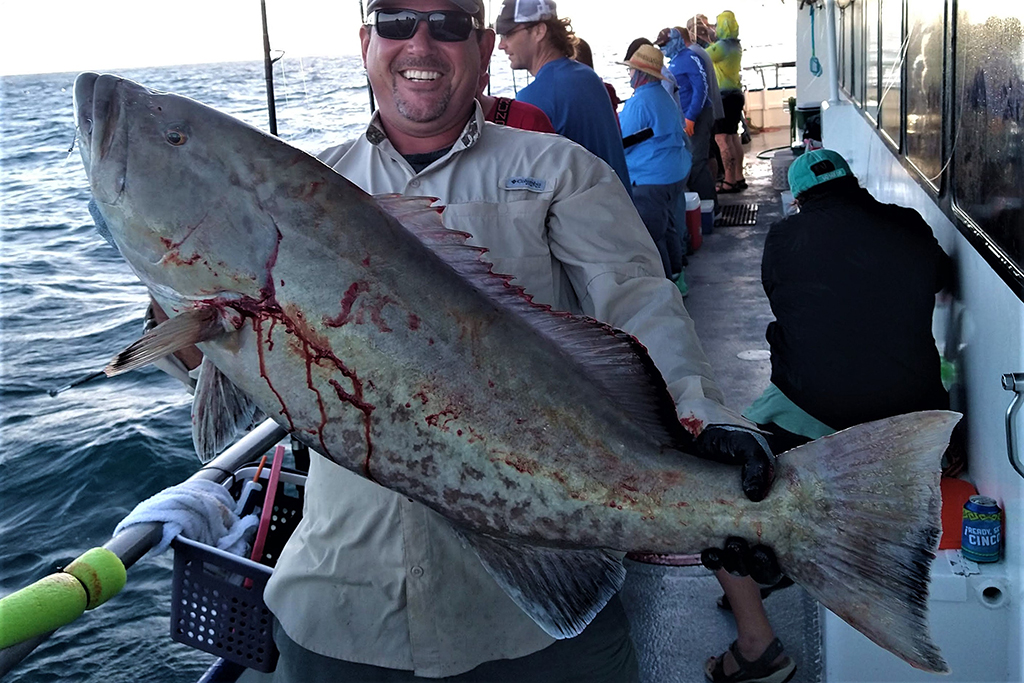 Hubbard's Marina Fishing Report 12-17-21, Hubbard's Marina, Deep Sea  Fishing, Dolphin Watching Tours