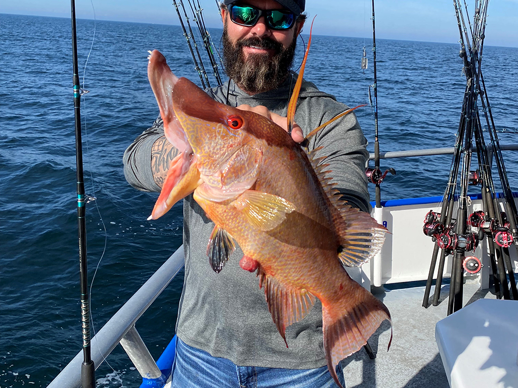 Fish of FL Keys Maritime Specialty Bait and Seafood Market