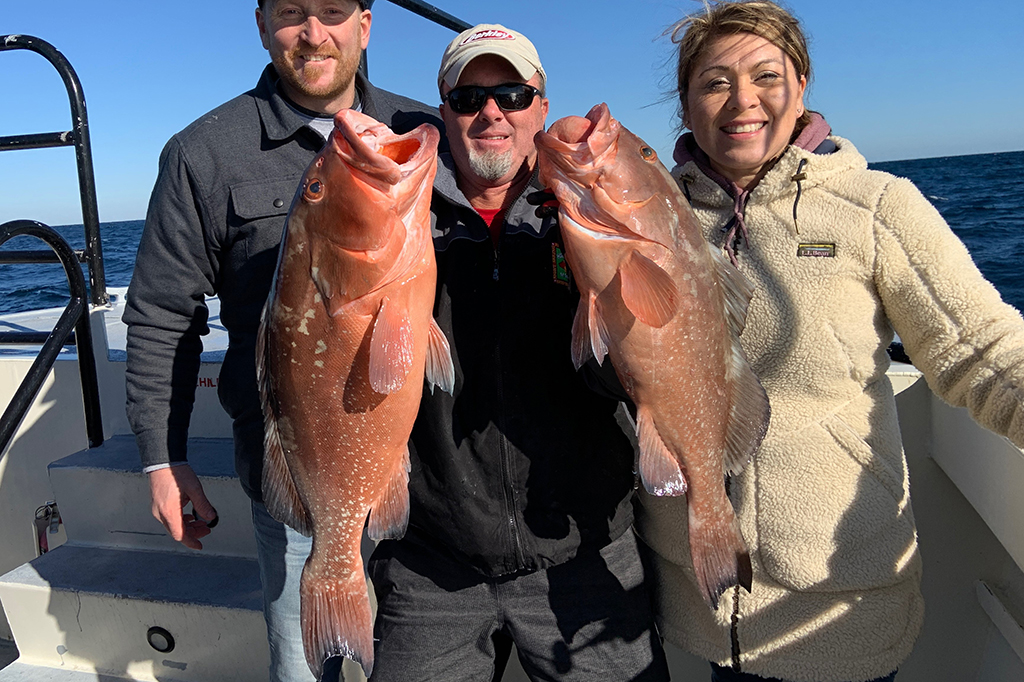 Hubbard's Marina Fishing Report 2-11-22, Hubbard's Marina, Deep Sea  Fishing, Dolphin Watching Tours