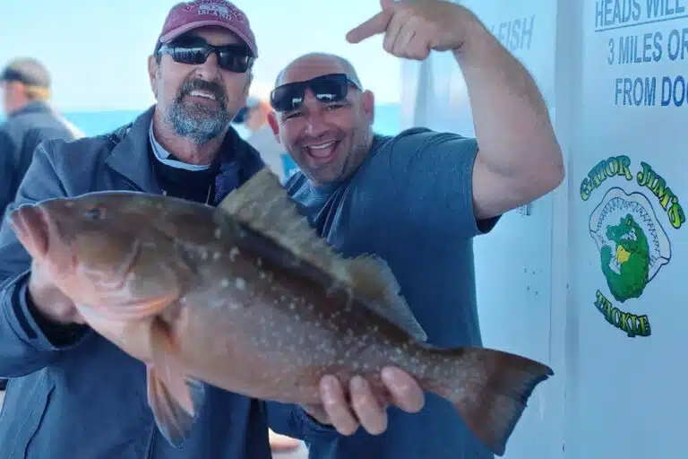 NEAR SHORE _ OFFSHORE - red grouper (2)