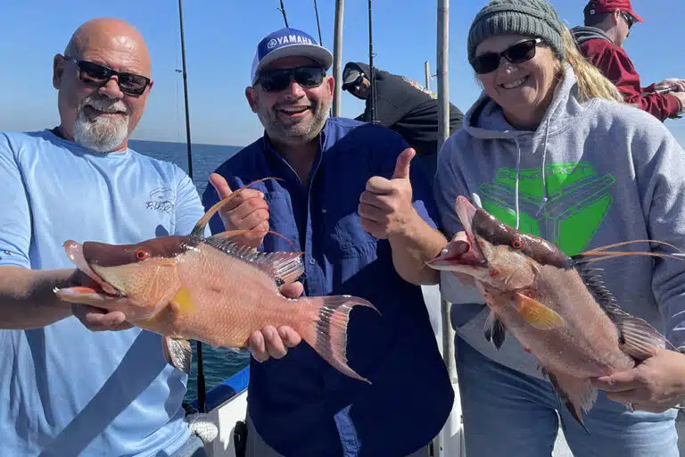 NEAR SHORE - hogfish (3)