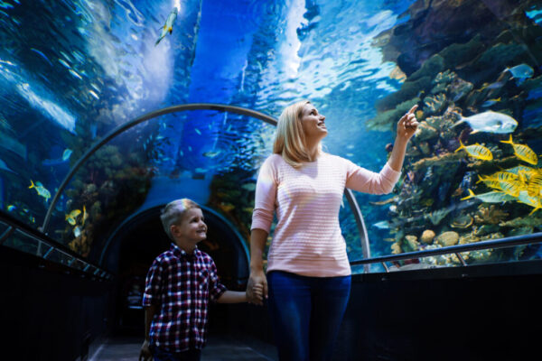 Family watchig fishes at a big aquarium
