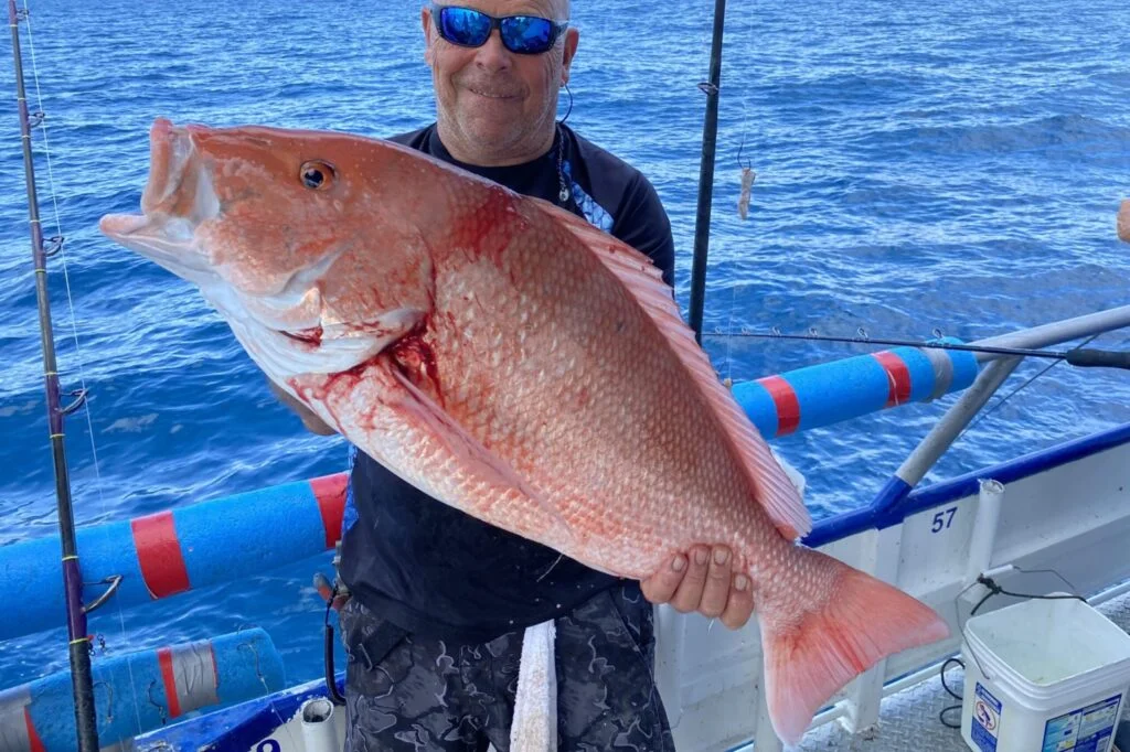 OFFSHORE - red snapper (1)