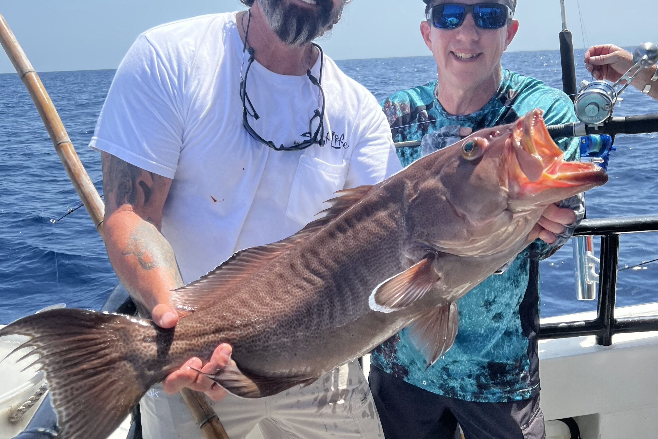 Hubbard's Marina Fishing Report 7-29-22, Hubbard's Marina, Deep Sea  Fishing, Dolphin Watching Tours