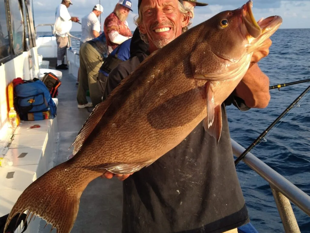 OFFSHORE - scamp grouper