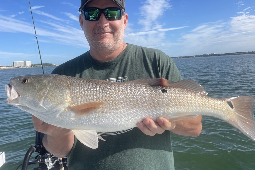 INSHORE - redfish