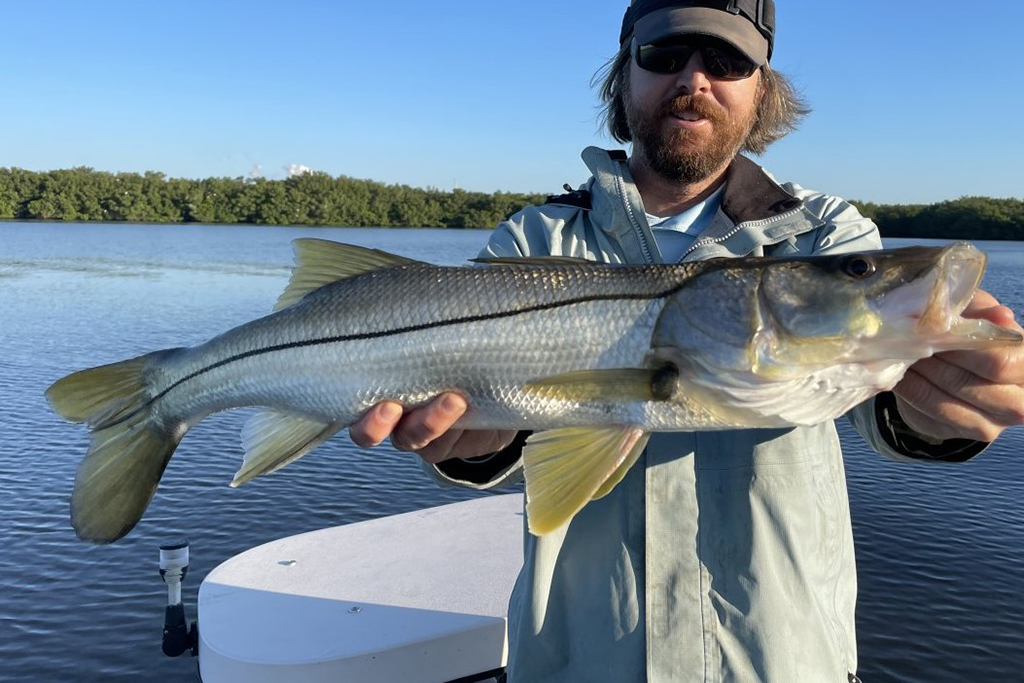 INSHORE - snook 2