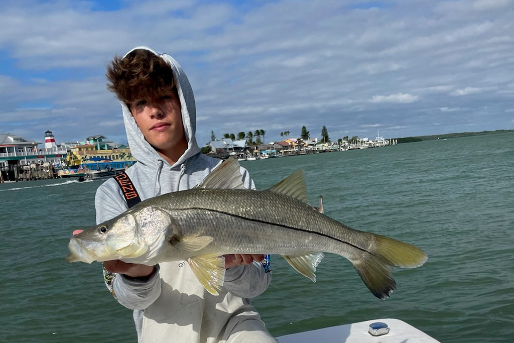 INSHORE - snook (3)