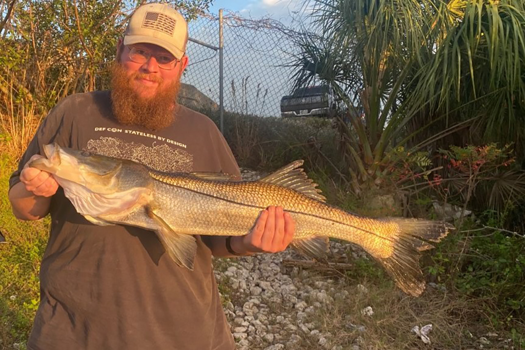 INSHORE - snook 3