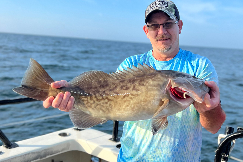 NEAR SHORE & OFFSHORE - gag grouper (10)