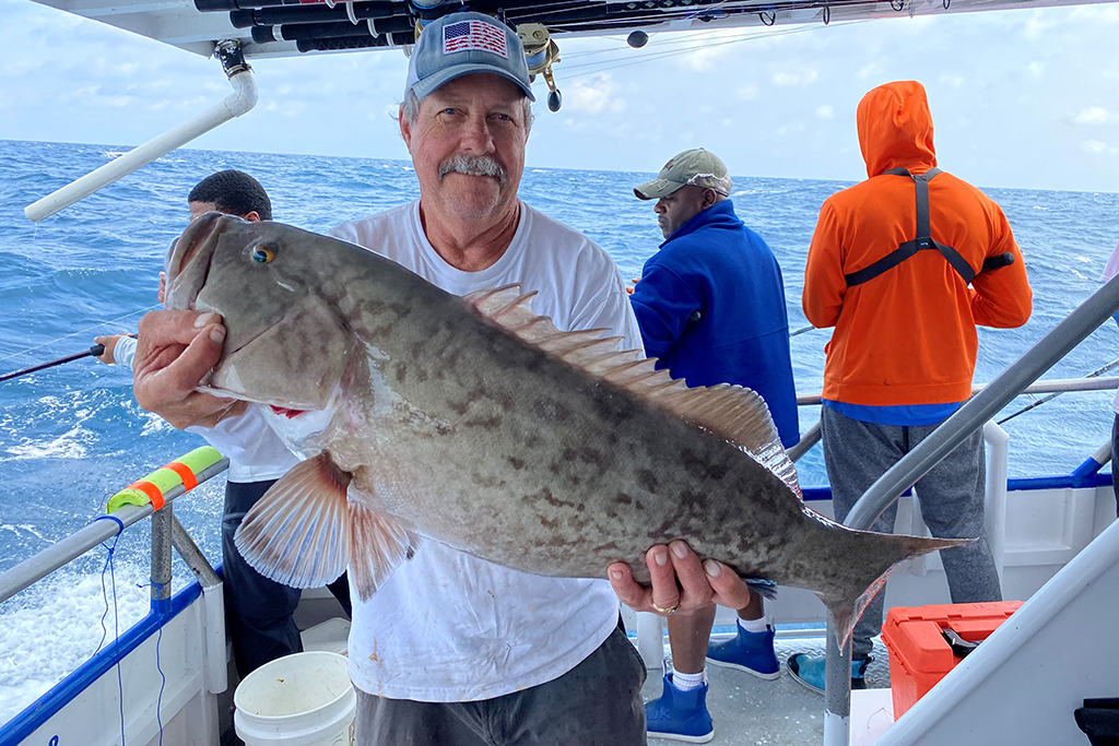 NEAR SHORE & OFFSHORE - gag grouper (14)