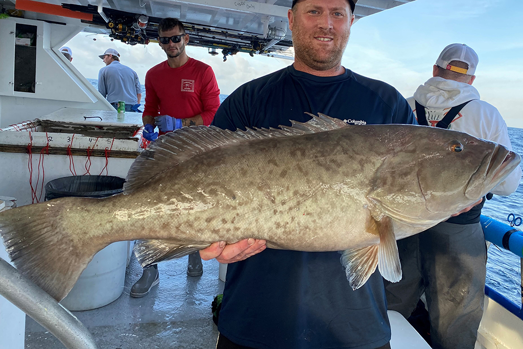 NEAR SHORE & OFFSHORE - gag grouper (4)