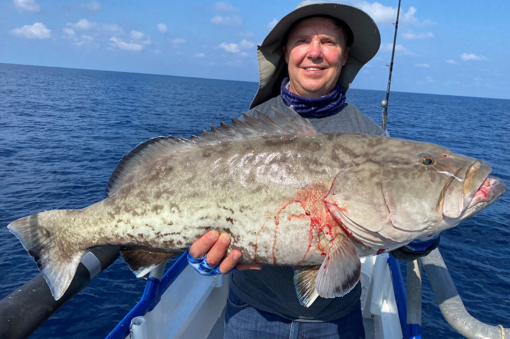 NEAR SHORE & OFFSHORE - gag grouper (5)