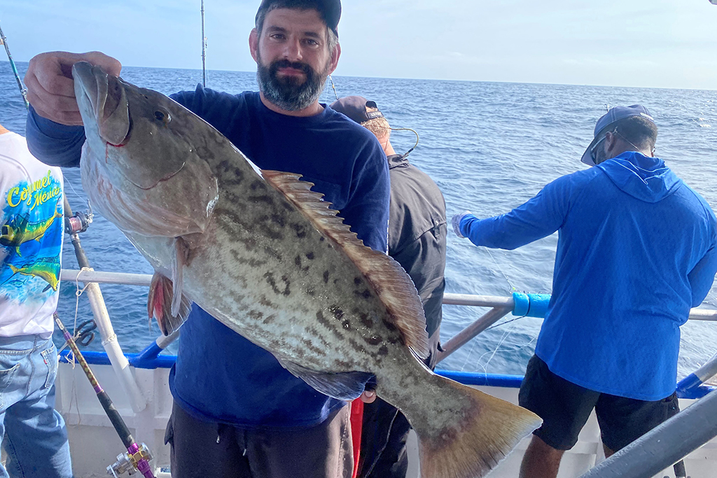 NEAR SHORE & OFFSHORE - gag grouper (5)