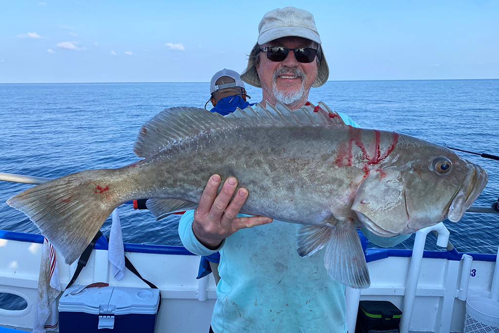 NEAR SHORE & OFFSHORE - gag grouper (6)