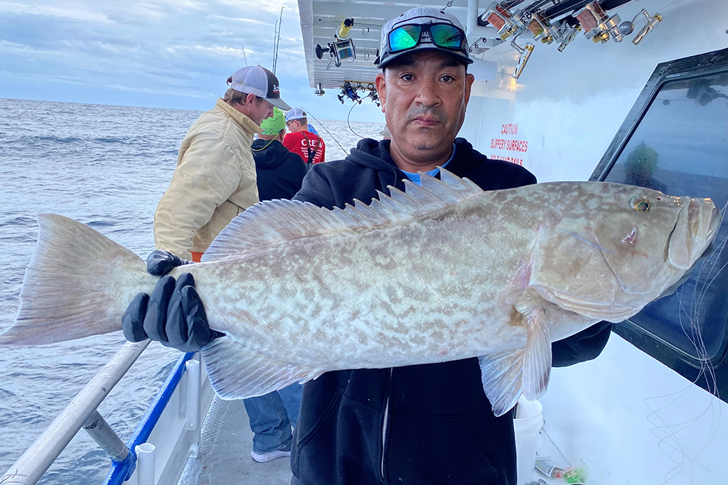 NEAR SHORE & OFFSHORE - gag grouper (6)