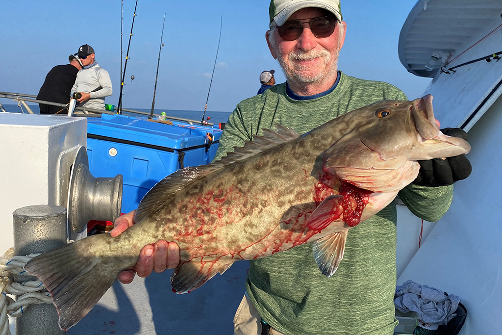 NEAR SHORE & OFFSHORE - gag grouper (8)