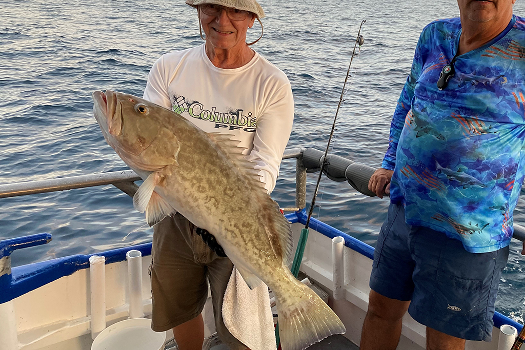 NEAR SHORE & OFFSHORE - gag grouper (9)