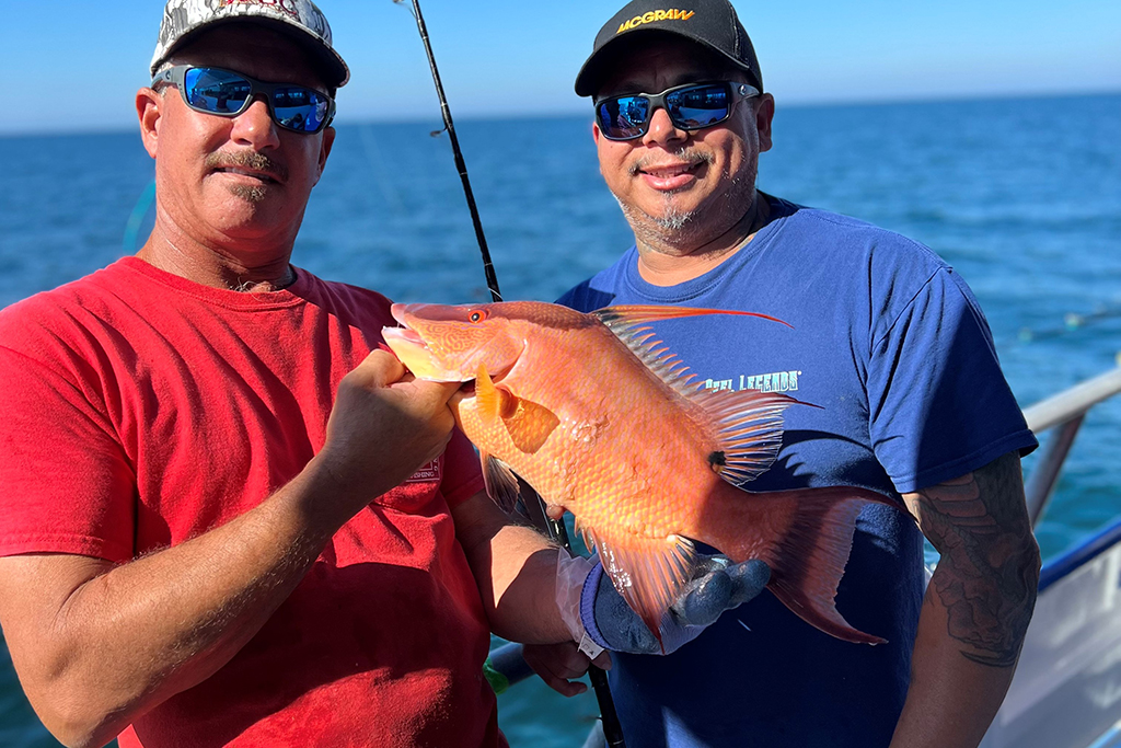 NEAR SHORE - hogfish (1)