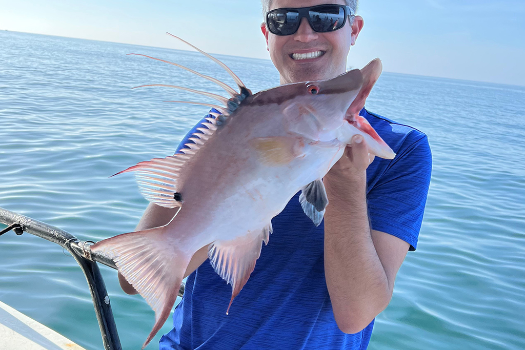 NEAR SHORE - hogfish (2)